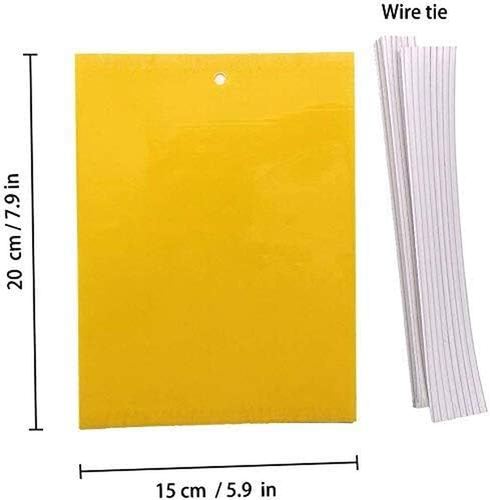 50Pezzi Adesivi Gialli, Fly Paper Stickers, Sticky Fly Catchers Dual-Side Trappo - Foto 3 di 12