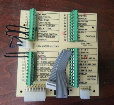 Lochinvar 100167579 Connection Board OEM / RLY20062