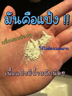 Bild 74 von 100