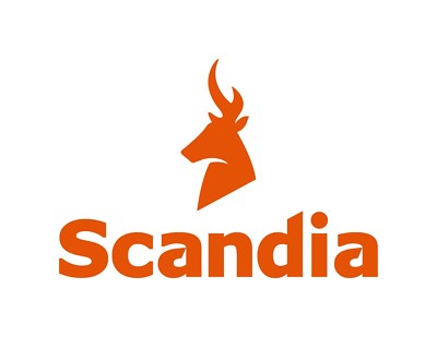 Scandia Large Fireplace Fire Steel Heater Heavy Duty Guard Barrier Access  Door | eBay
