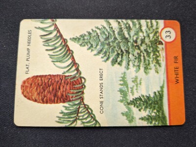 1962 Ed-U-Cards Tree Spotter Game Card  # 33 White Fir (NM)