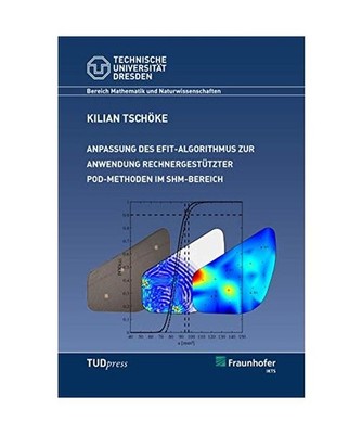 Anpassung des EFIT-Algorithmus zur Anwendung rechnergestützer POD-Methoden im S