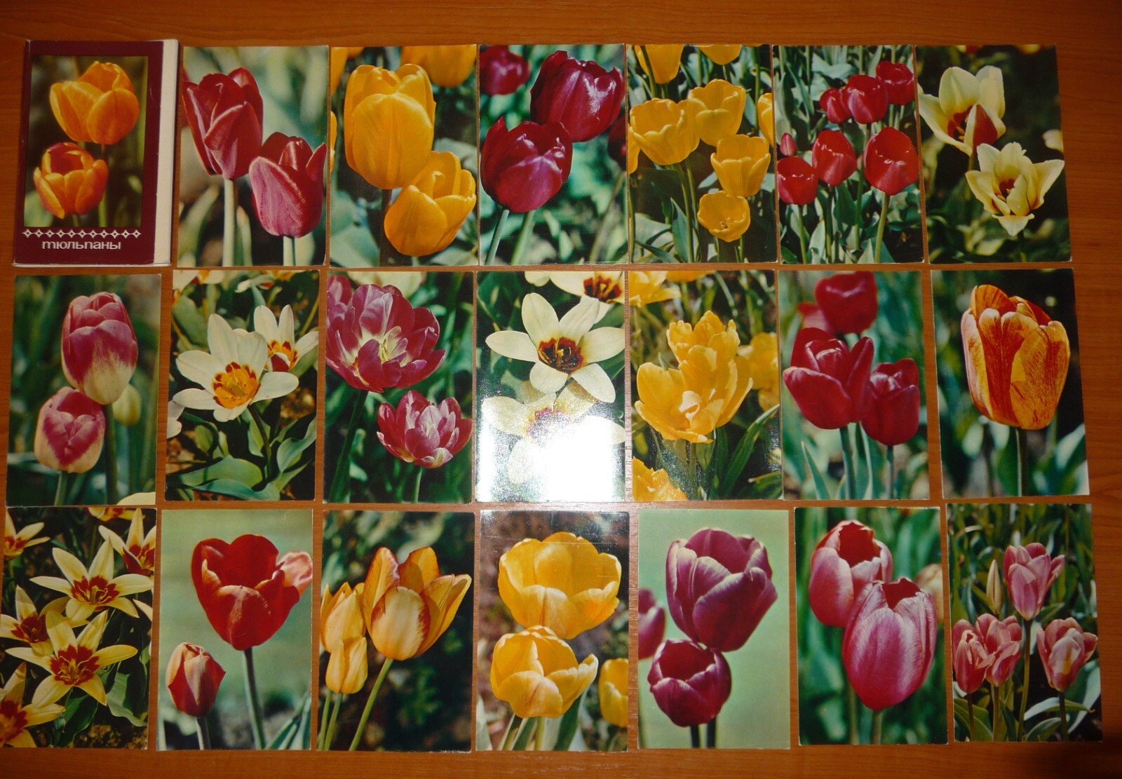 Bild 1 von 3