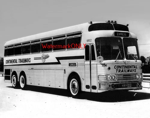 "Continental Trailways" Vintage Motor Coach Bus "Roadside Americana" PHOTO! #17