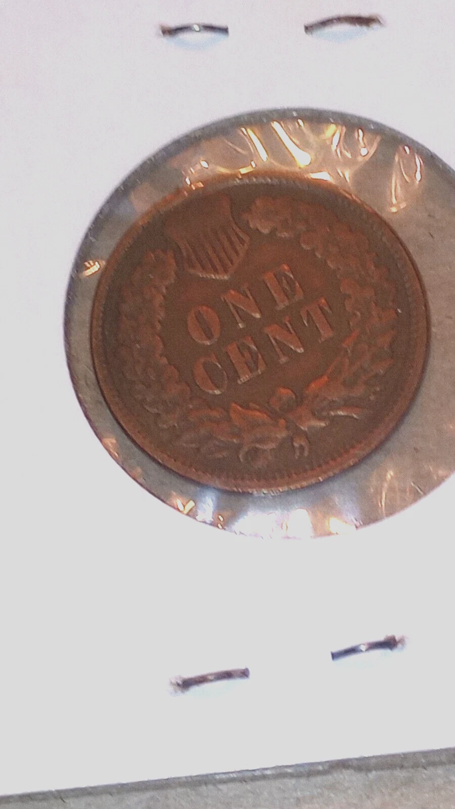 Picture 6 of 7