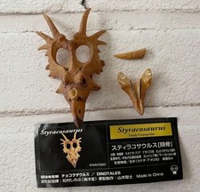 Styracosaurus Dinosaur Skull Model Figure Unassembled Collectible Toy