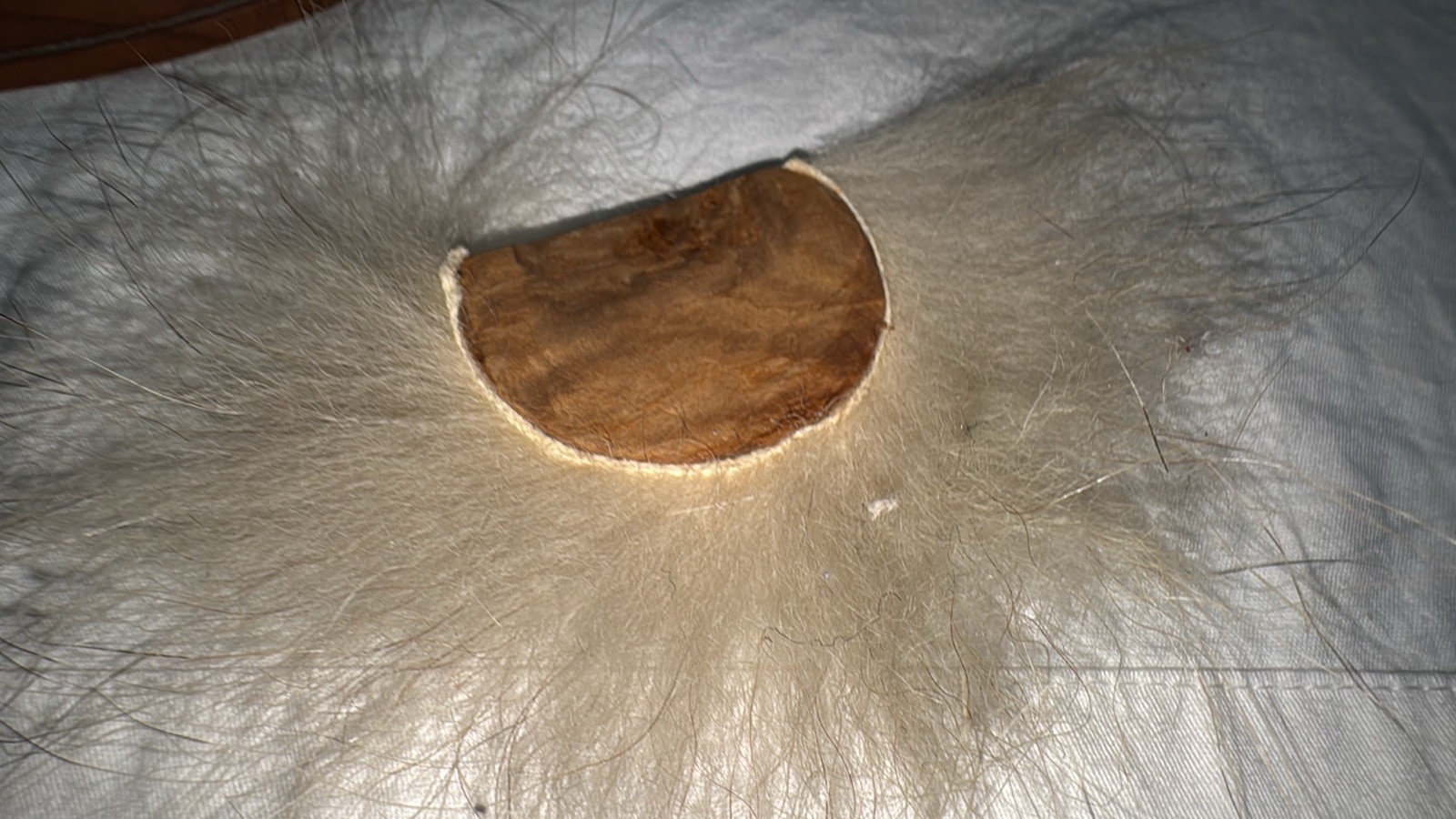 Picture 10 of 24