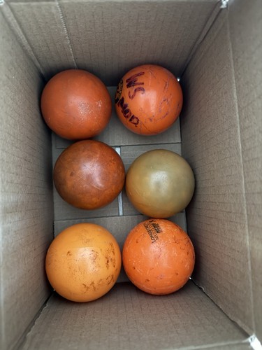 Six Field Hockey Balls Used | eBay