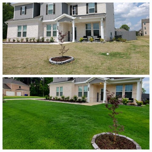14 lbs. 5,000 sq. ft. Lawn Fertilizer for All Grass Types - Picture 2 of 12