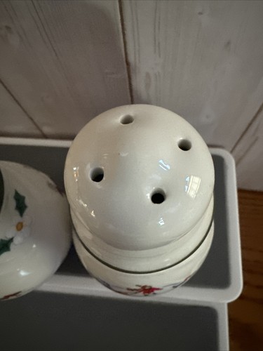 PFALTZGRAFF SNOW VILLAGE PERENNIALS STONEWARE 4" Salt Pepper Shaker Set VTG - Picture 13 of 14