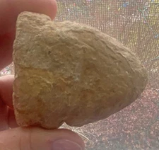 MUSEUM BLOWOUT!--Ancient Native American tomahawk/hammer head