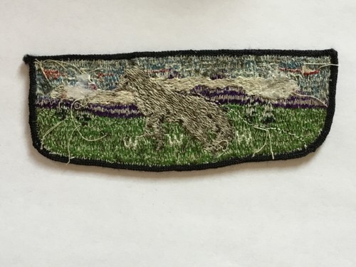 Pellissippi Lodge 230 S-9 UPSTITCH pocket flap cs - Picture 2 of 2