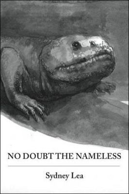 No Doubt the Nameless by Lea, Sydney