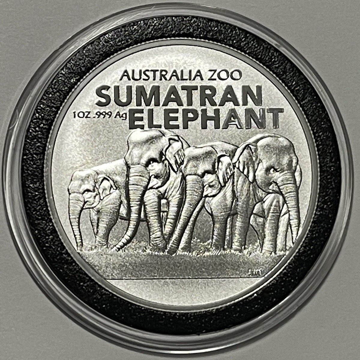 2022 Sumatran Elephant Australia Zoo Coin 1 Troy Oz .999 Fine
