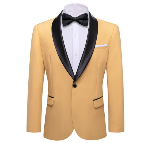 Para Hombres Floral Esmoquin Cena Chaqueta Calce Regular Chal Solapa Paisley Baile de graduación Fiesta Traje - Imagen 216 de 236