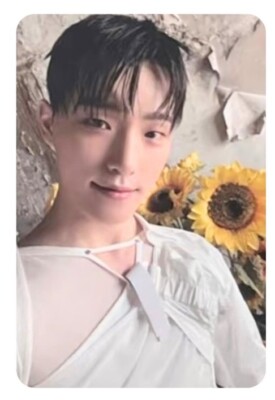 SEVENTEEN 2024 9th MEMBERSHIP KIT OFFICIAL PHOTOCARD PC | eBay