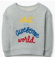 Gymboree girls Sweatshirt What an Awesome World Gray NWT shirt 18-24 m