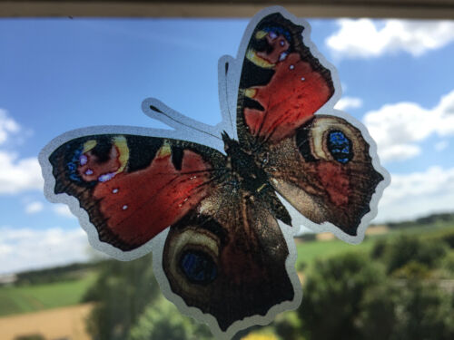 11 Butterfly Photo Etched Glass Window Stickers SHOWER DOOR PATIO GREENHOUSE - Picture 3 of 9