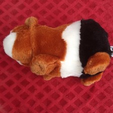 Tri-Colored Plush Guinea Pig