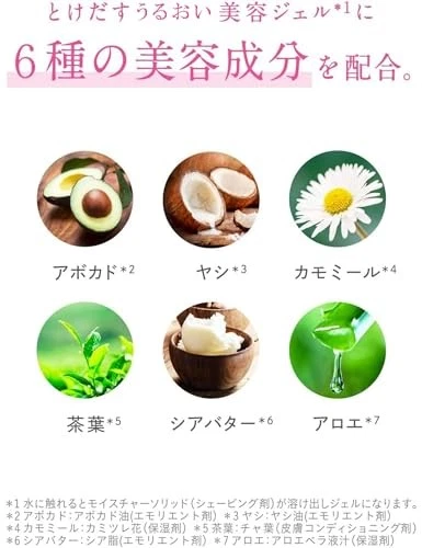 Soporte de afeitadora Schick Hydro Silk para mujer + 1 cartucho fm Japón Foto 3 de 4