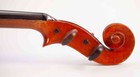 old unique italian violin labeled Testore 1731 geige violine violino viool viola — photo 6