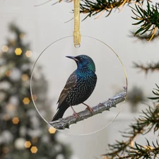 European Starling Ornament ONE SIDED Christmas Holiday bird watcher lover
