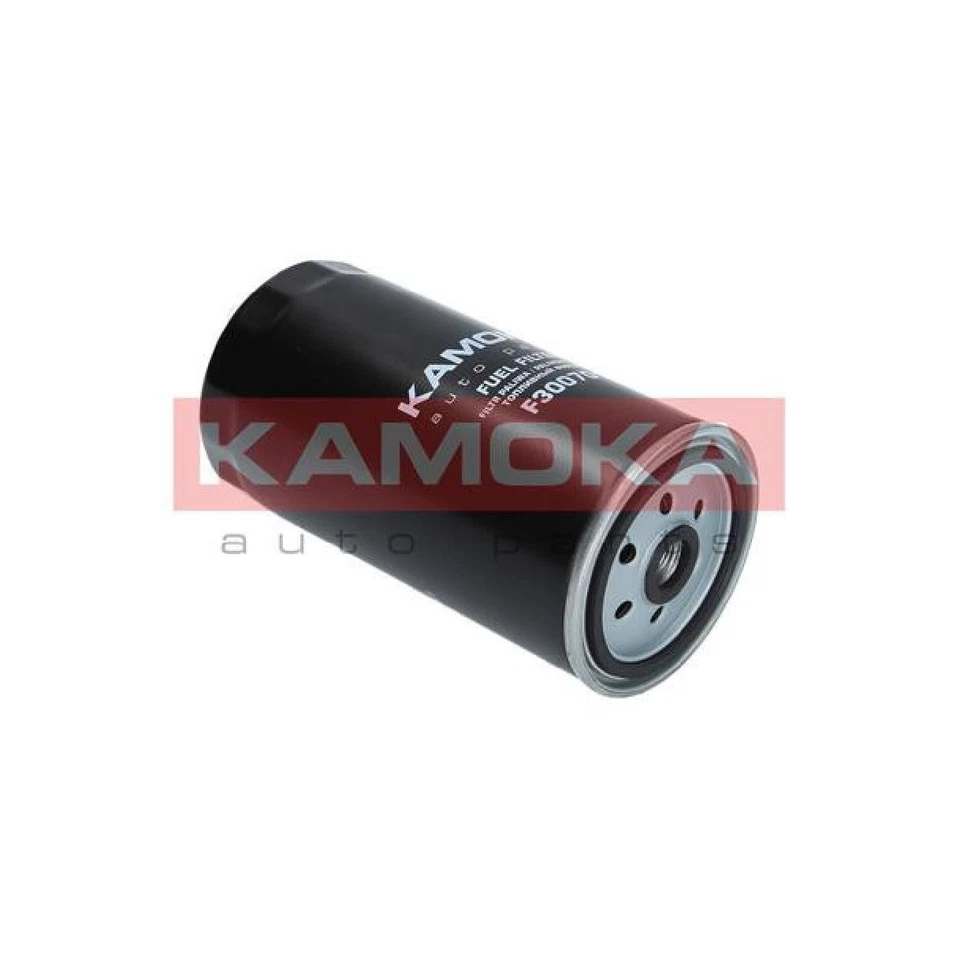 Kraftstofffilter für Austin Apache | 481625 - Bild 4 von 4