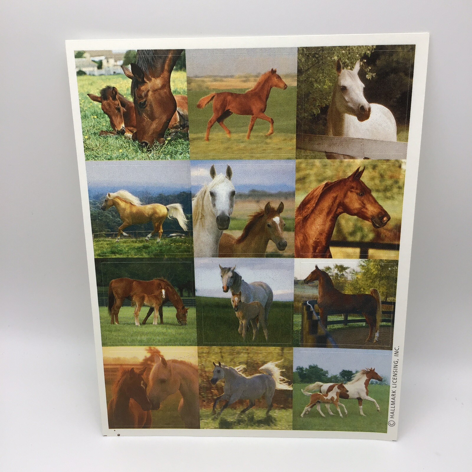 Vintage Animal Stickers Scrapbooking Lot Of 3 Sheets Dogs Horses