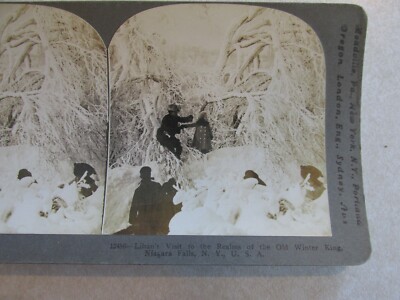 SV272 Stereoview Photo Card Lilians Visit Niagara Falls in Winter old king