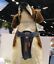 miniatuur 9 - Ezy Dog Harness Chest Plate Reflective EzyDog Seat Belt Restraint DENIM