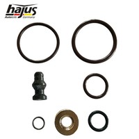 Hajus Dichtungssatz EinspritzdüSe FüR VW Golf Polo T5 Audi A3 Seat Skoda 1.9 2.0
