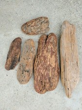 Natural Bark Driftwood Wood For Reptile Aquarium Taxidermy Crafts Macrame Decor