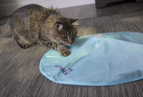 Smartykat Electronic Motion/Moving Toys for Cats & Kittens, Battery Powered, Mim - Picture 6 of 11
