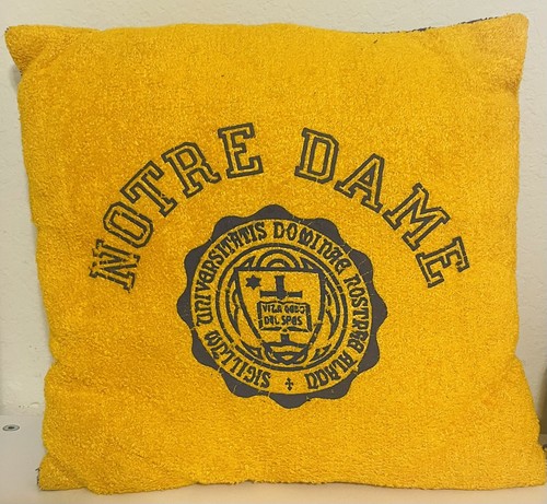 I 💛 Notre Dame - Pillows - Plate - Mug - Glasses - Sign - Gold & Blue - Irish - Picture 2 of 12