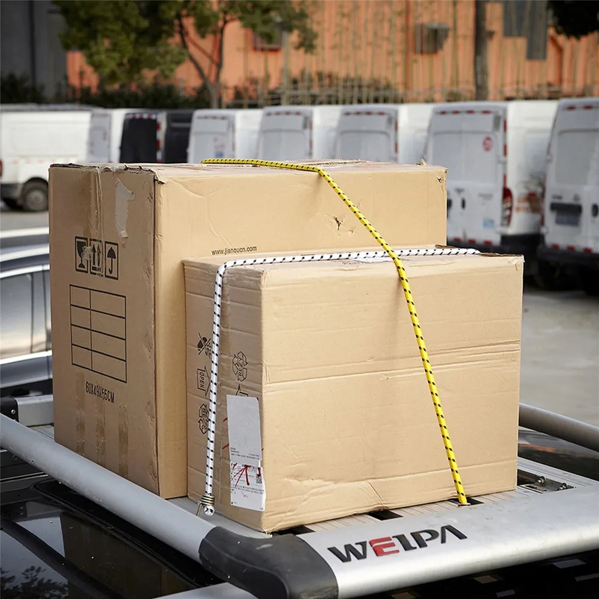 Dekton 12mm Elastic Stretch Bungee Cords Hooks Cables Tie Down Set