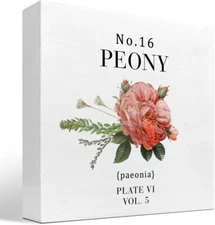 Red Peony Wood Block Sign Desk Decor,Spring Summer Rustic Floral Wooden white 