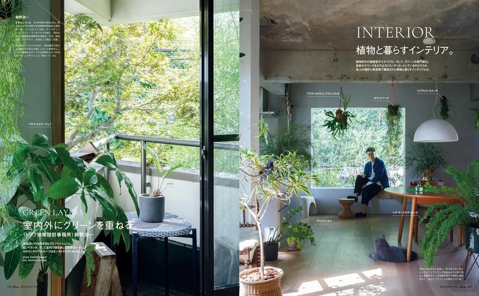 Casa BRUTUS December 2024 INDOOR GREEN AW Japanese Architecture Design Magazine - Image 4 of 4