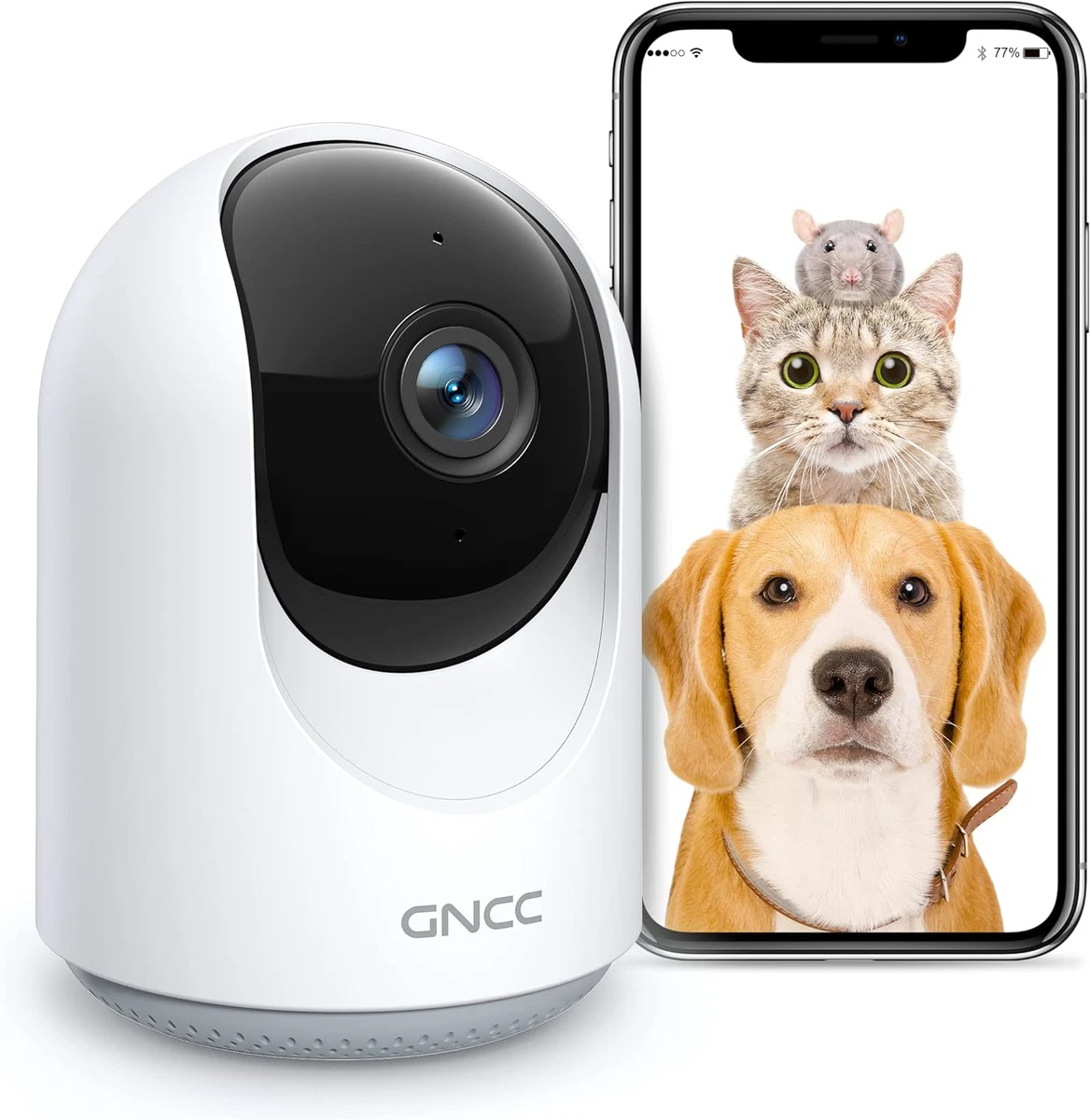 Dog hotsell webcam app