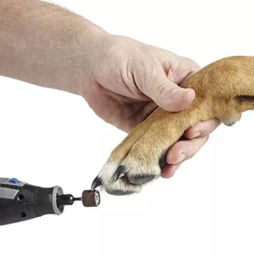 Dremel PawControl Dog Nail Grinder and Trimmer- Safe & Humane Pet Grooming  Tool Kit- Cordless & Rechargeable Claw Grooming Kit for Dogs, Cats, and