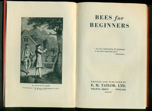 BIENEN FÜR ANFÄNGER - VERLAG E H TAYLOR - IMKEREI, IMKEREI, BIENENSTÖCKE - Bild 5 von 7