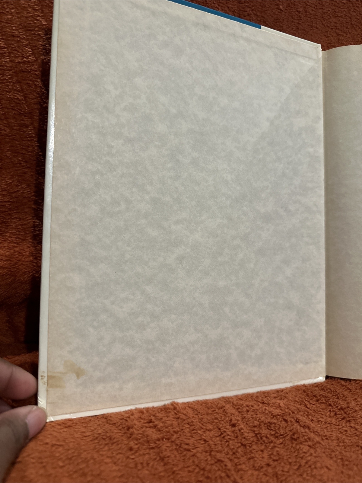 Picture 4 of 11