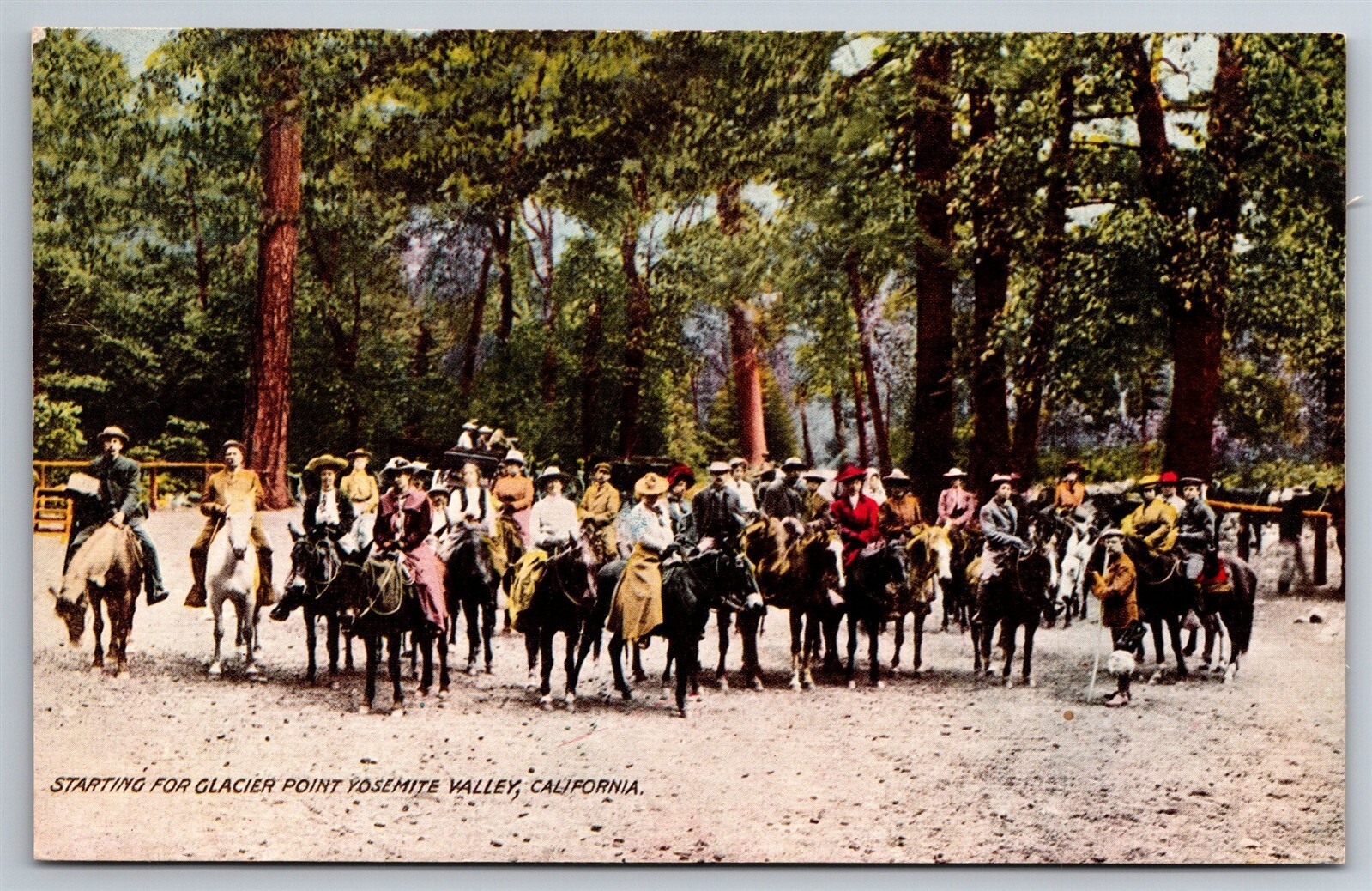Horses & Riders Going To Glacier Point Yosemite Valley CA C1910s DB Postcard AC6