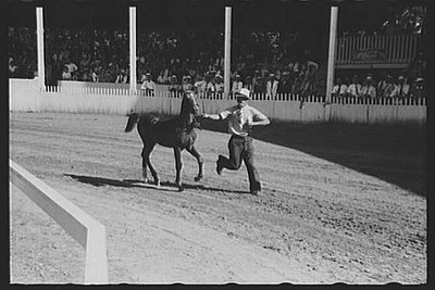 Shelby County Horse Show & Fair,Shelbyville,Kentucky,KY,August 1940,FSA,13 1