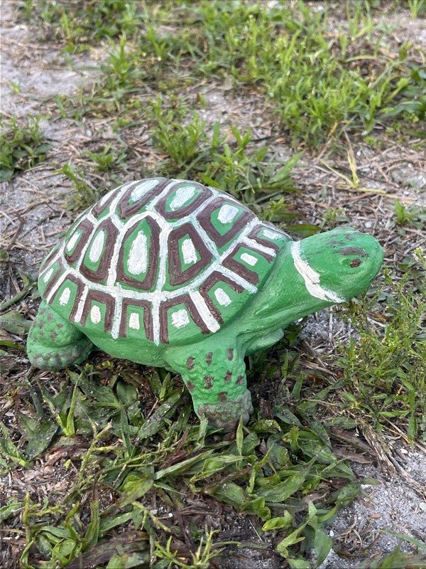 Latex Fiberglass Mold. Make Concrete Or Plaster 8 Inches Long Walking Turtle 