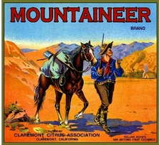 Claremont Mountaineer #2 Gold Digger Orange Citrus Fruit Crate Label Art Print