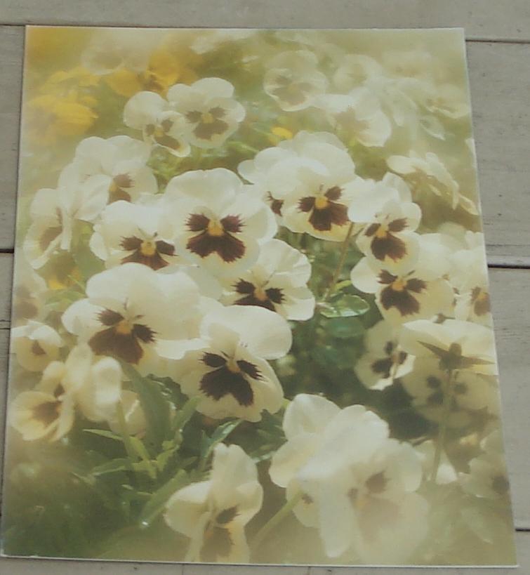 (未使用･未開封品)　OFFICE CUE THANK YOU BEST og8985z NEVER USED Vintage Thank You Greeting Card, GREAT COND | eBay