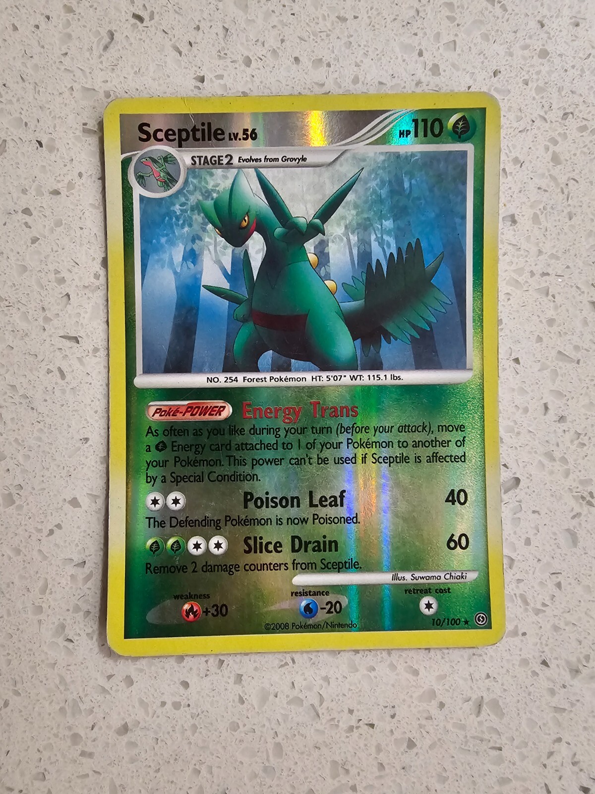 Sceptile 10/100 Stormfront Reverse Holo Pokemon Card - MP Condition