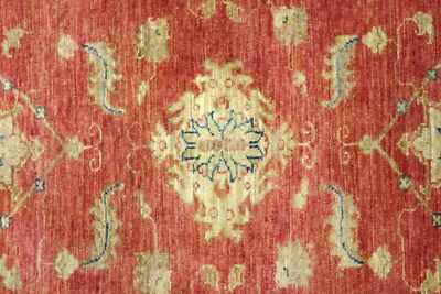 CarpetFine Tapis Afghan Akhche Bokhara Rouge 120x170 cm Vie Orientale | Tapis noué à la Main pour Le Salon et la Chambre à Coucher
