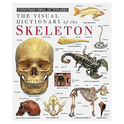 The Visual Dictionary of The Skeleton [Eyewitness Visual Dictionaries], Courtena