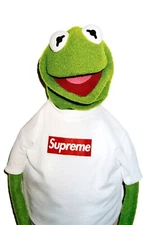 Kermit The Frog Poster Wall Art Home Decor Photo Print 16x24, 20x30, 24x36